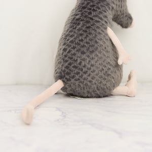 Lachlan Sad Rat