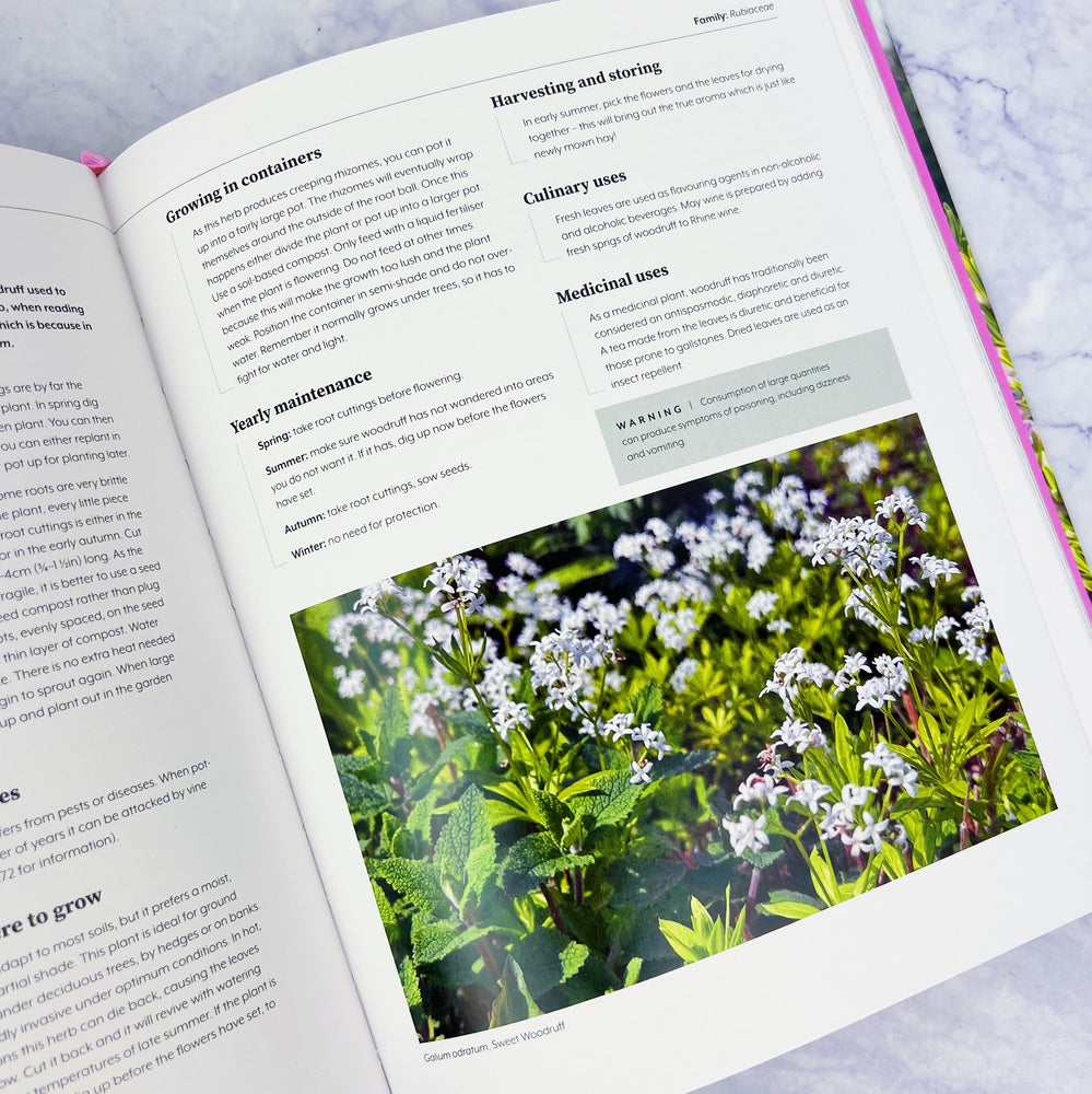 100 Herbs to Grow Book