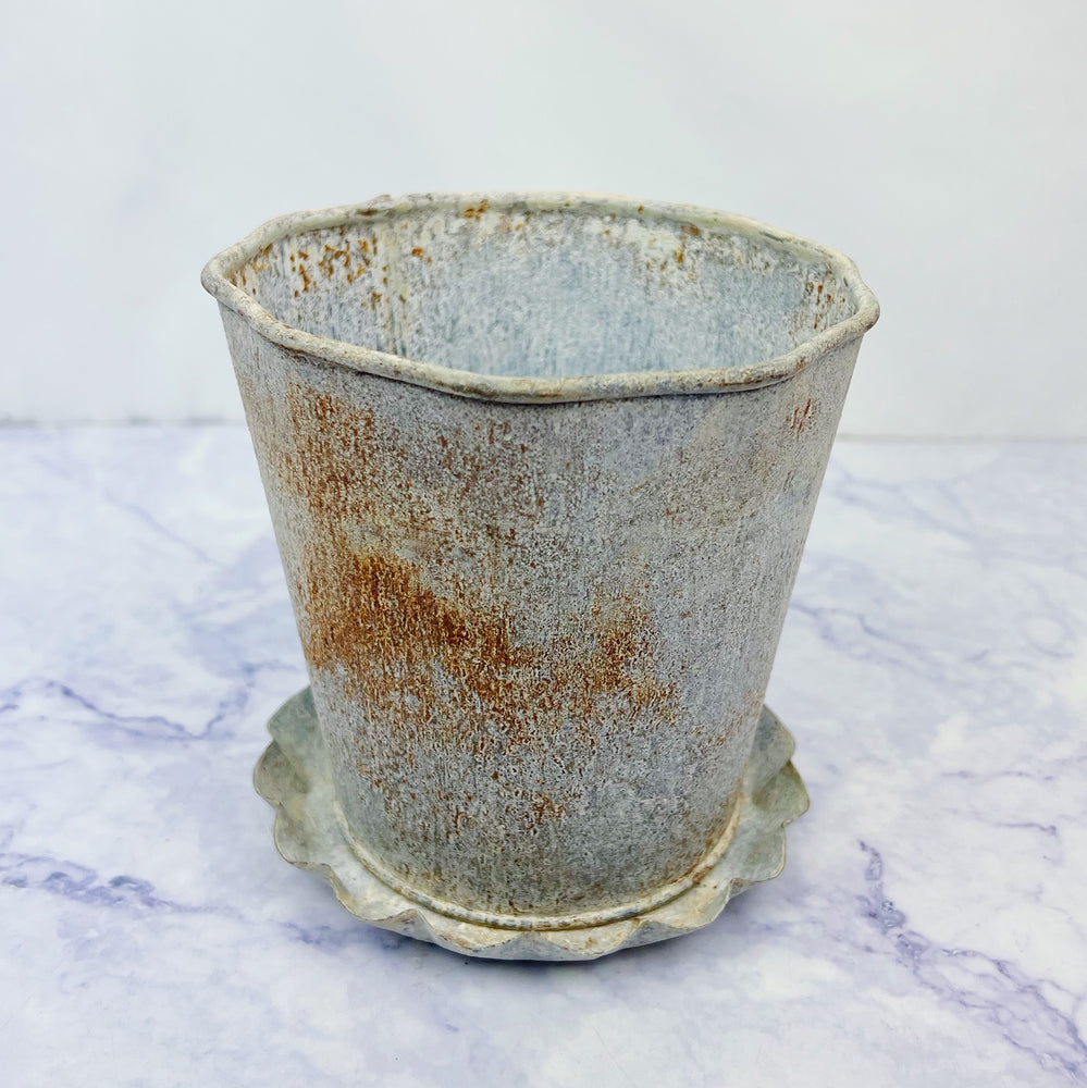 Zinc Pot with Ruffled Saucer