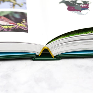 Backyard Birdwatcher's Bible