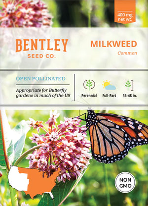 Milkweed