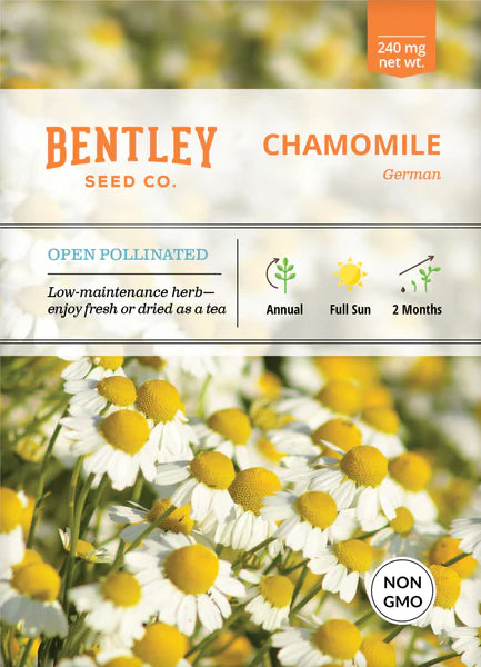 
                
                    Load image into Gallery viewer, Chamomile, German
                
            
