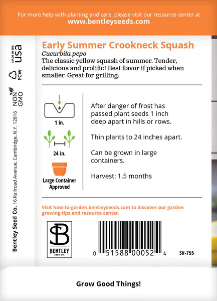 Squash, Yellow Crookneck