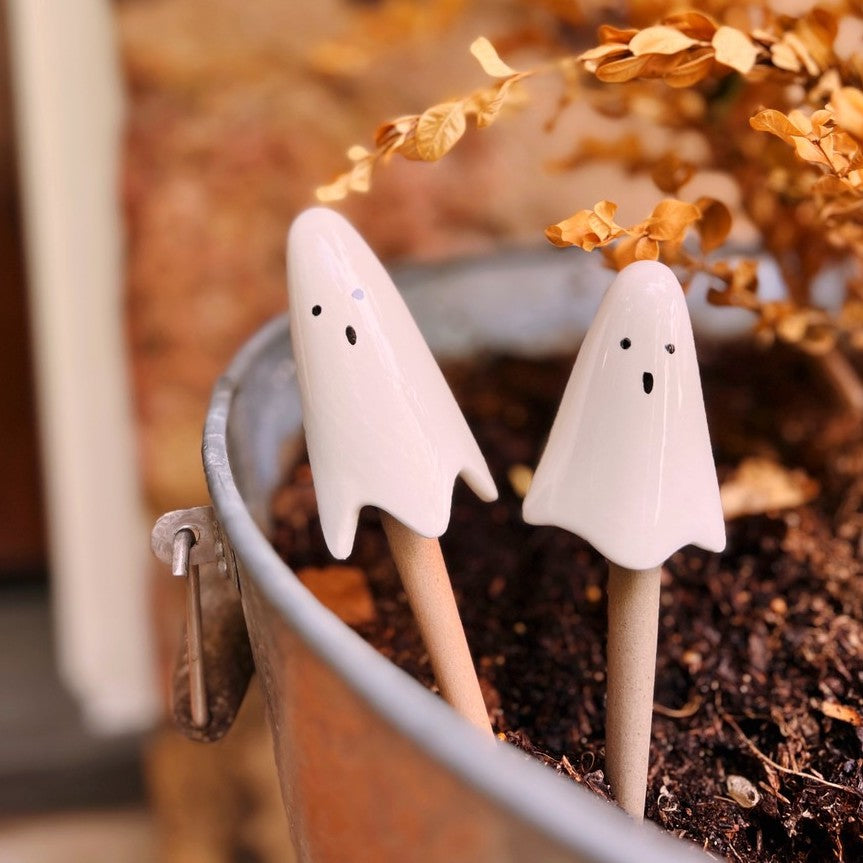 Ghost Plant Stick