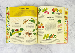 A Summer Treasury of Recipes, Crafts, and Wisdom Book