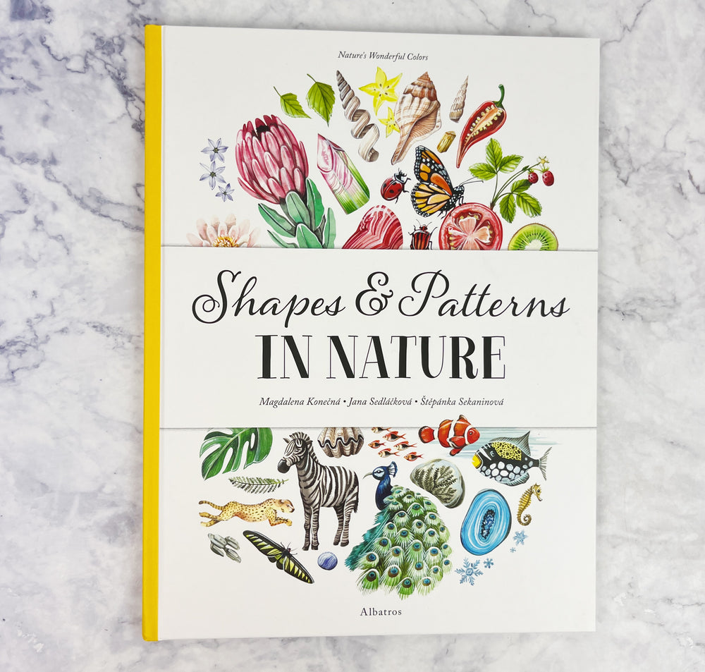 Shapes and Patterns In Nature