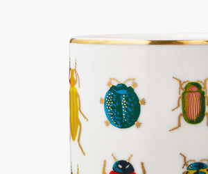 Beetles and Bugs Porcelain Vase