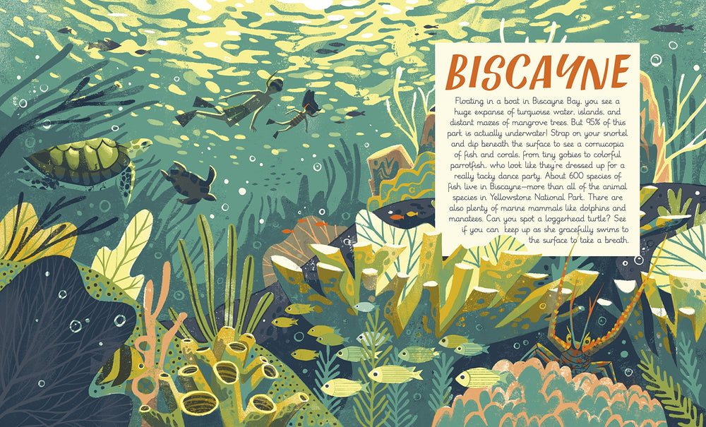 National Parks of the USA Book