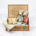 Mum and Dad Mice in Cigar Box