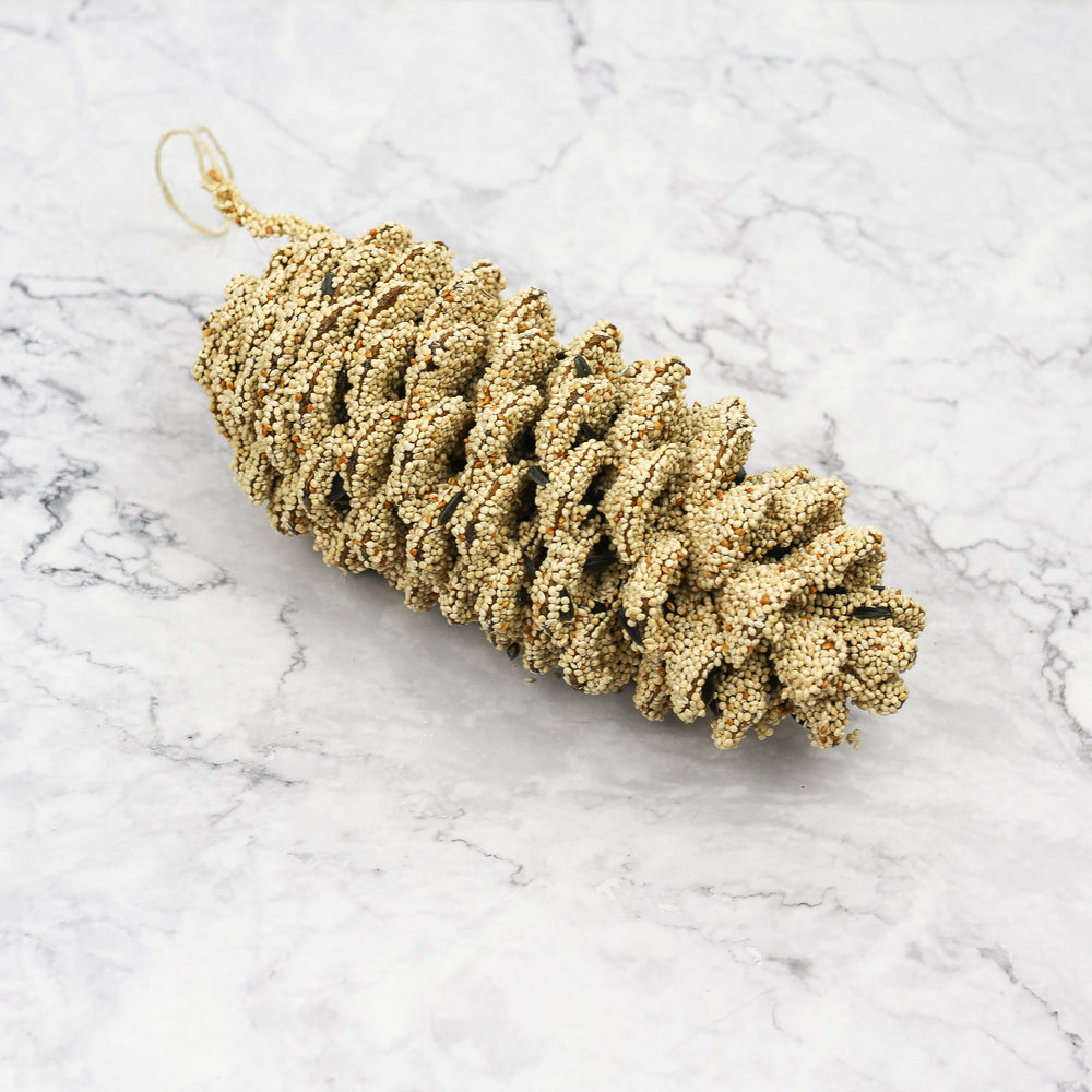 Holiday Birdseed Pinecone