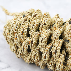 Holiday Birdseed Pinecone