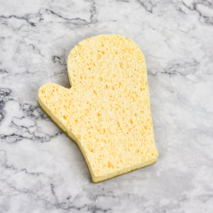 Holiday Sponges