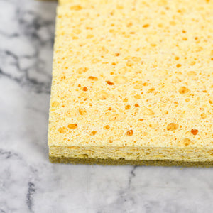 Holiday Sponges