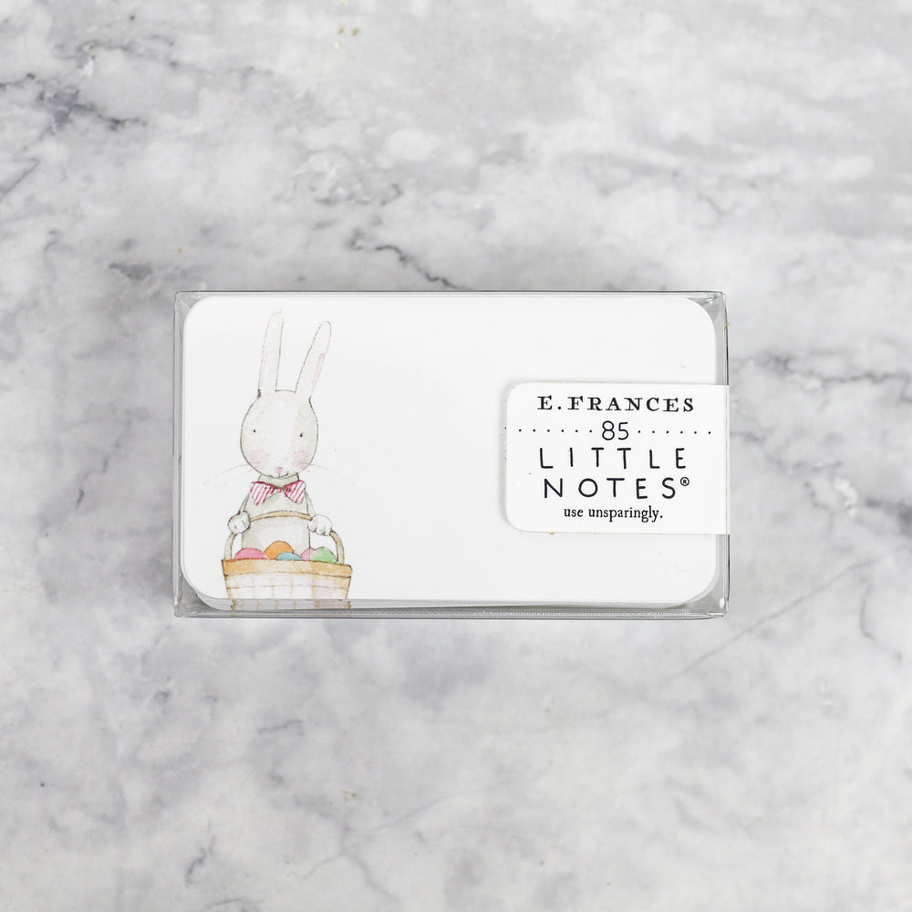 Bunny Little Notes