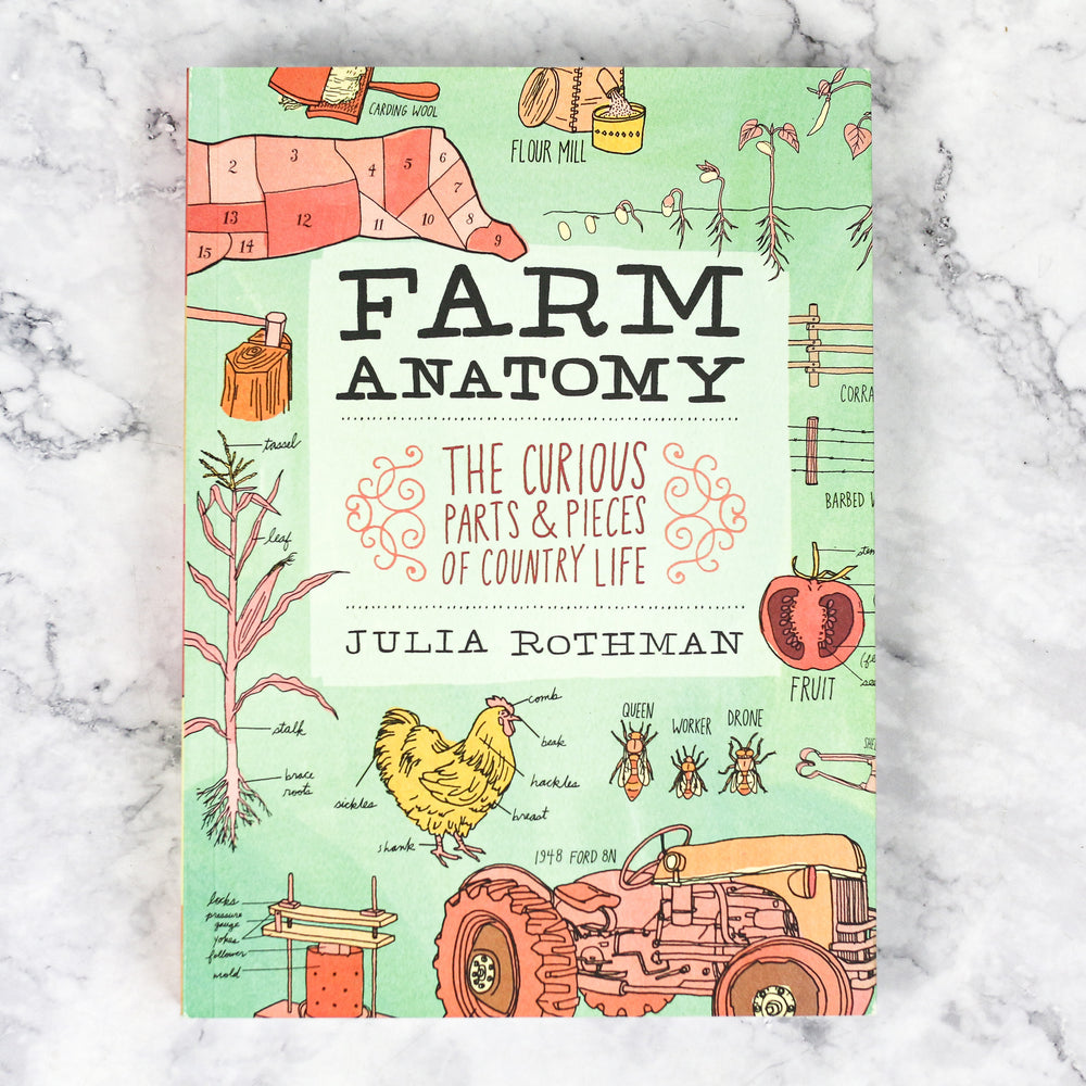 Farm Anatomy
