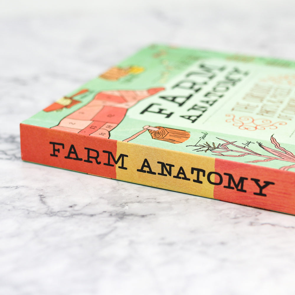 Farm Anatomy