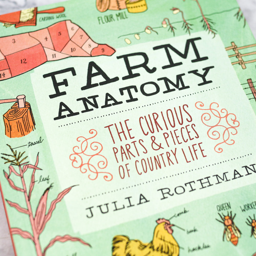 Farm Anatomy