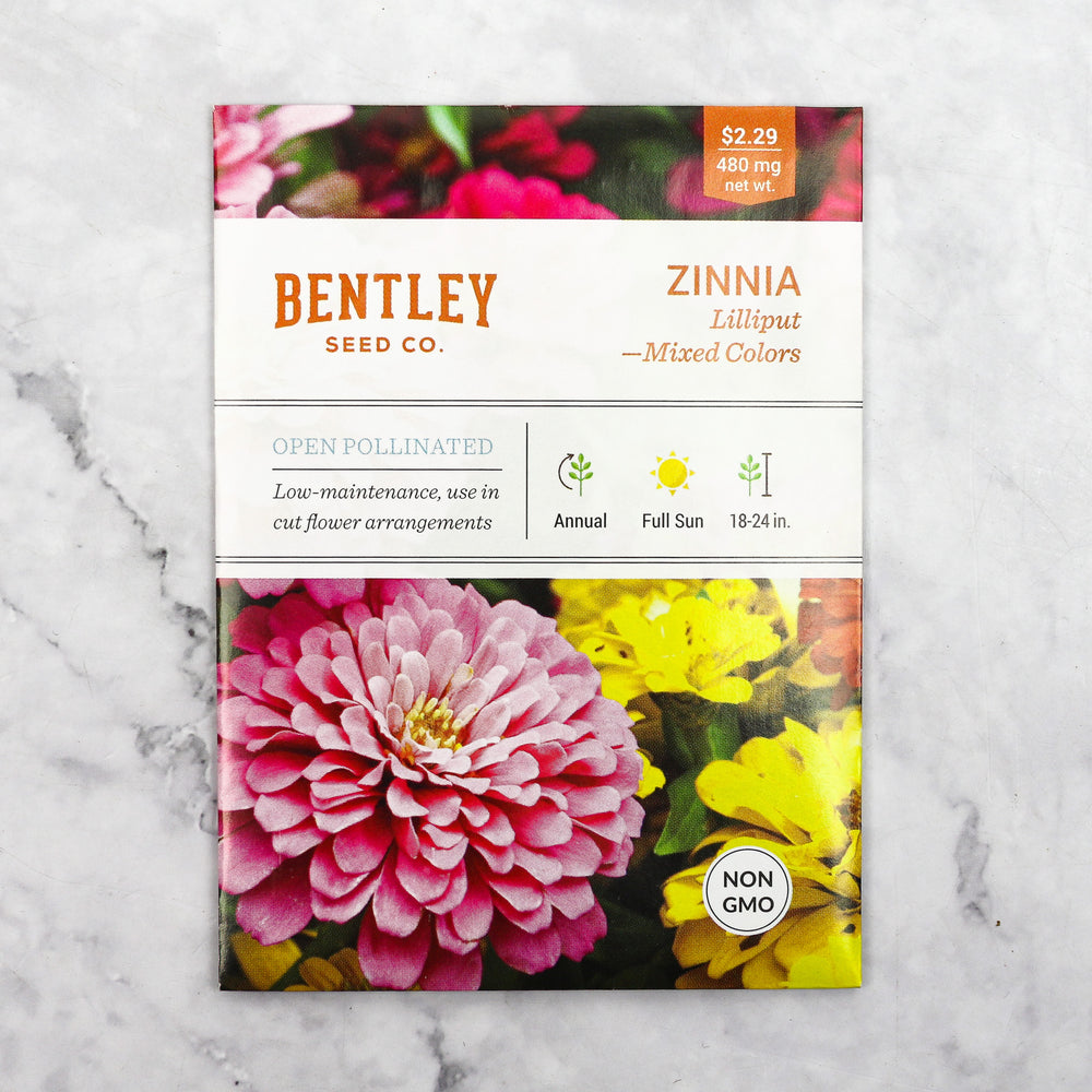 Zinnia-Mixed Colors