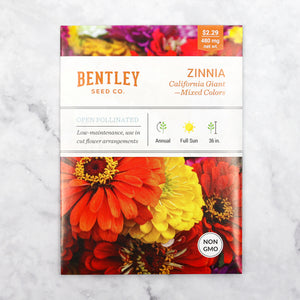 Zinnia-California Giant